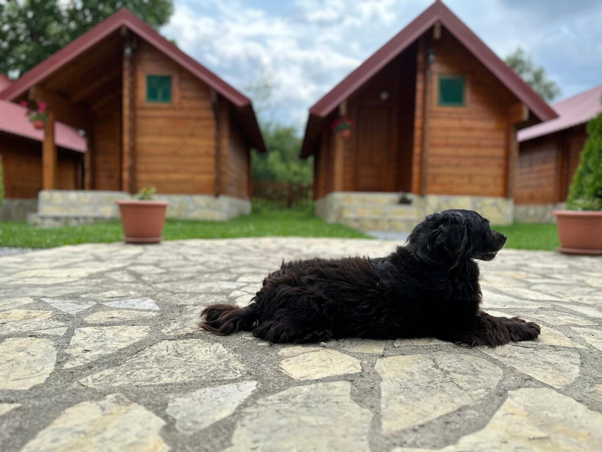 Tara Valley Eco Lounge Mojkovac Ngoại thất bức ảnh